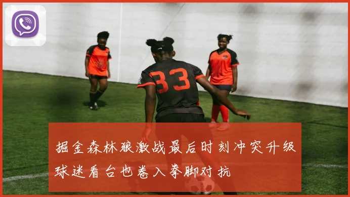 掘金森林狼激战最后时刻冲突升级球迷看台也卷入拳脚对抗